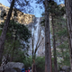 Illustration for article titled Toby in Yosemite